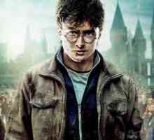 Harry Potter i smrtonosni hodnici: glumci i priča