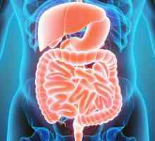 Gastroenteritis: liječenje, simptomi i dijagnoza. Posljedice gastroenteritisa