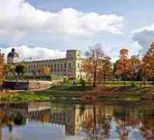 Gatchina parkovi i palače (fotografija)