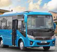 GAZ (bus) - prednosti, smjerovi, raspon modela