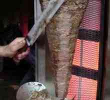 Plinski uređaji za shawarma: savjeti o izboru i povratne informacije o proizvođačima