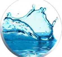 Gdje i kako analizirati vodu iz bušotine? Kemijska, bakteriološka analiza vode iz bunara: cijena