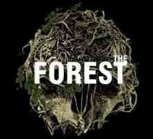 Где и как сохраняться в `The Forest`?