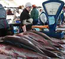 Gdje je najbolje tržište ribe u Rusiji?