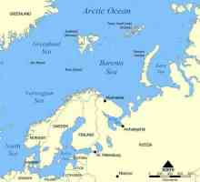 Gdje je Barentsovo more? Koordinira, opisu, dubinu i resurse