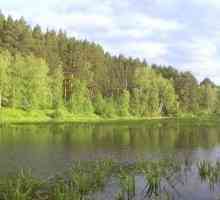 Gdje se nalazi jezero Staritsa? Opis, odmor, ribolov, fotografija