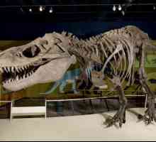 Gdje je najpoznatiji muzej dinosaura na svijetu?