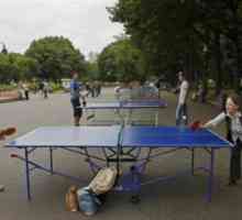 Gdje igrati stolni tenis u Moskvi? Klubovi i dijelovi stolnog tenisa u Moskvi