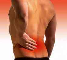 Gel `Dip Relief` od boli u mišićima i zglobovima