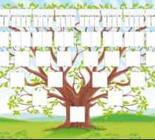 Genealogijsko stablo vlastitim rukama: odabir informacija, ispravna gradnja, dizajn ideje