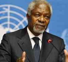 Glavni tajnik UN-a Annan Kofi: biografija, aktivnosti, nagrade i osobni život