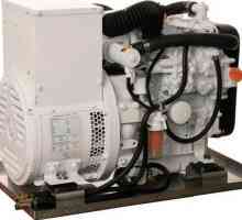 Komplet generatora: diesel elektrana. Karakteristike, održavanje, popravak