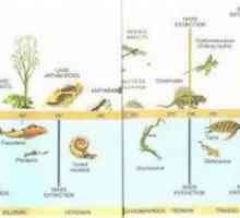 Geološka kronologija. Geokronološka tablica