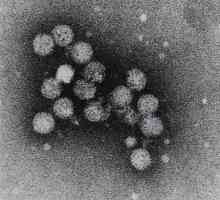 Hepatitis C: razdoblje inkubacije i liječenje