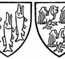 Heraldika: značenje simbola i boja. Vrste, oblik štitova i njihovo značenje u heraldici