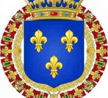 Grb Francuske. Srednjovjekovni grb Francuske. Povijest grba Francuske