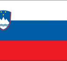 Grb i zastava Slovenije