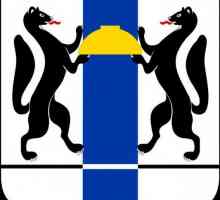 Grb Novosibirskoga kraja. Opis i simboli