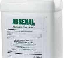 Herbicid `Arsenal`: najučinkovitiji asistent u borbi protiv korova