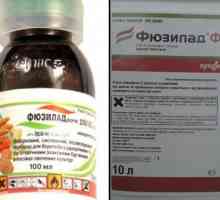 Herbicid `Fusilade Forte`: upute za uporabu, svojstva