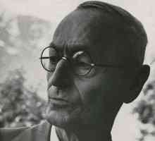 Hermann Hesse, `Siddhartha`: sadržaj i recenzije