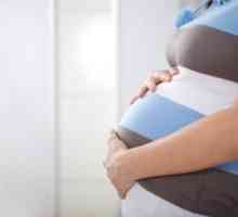 Gestational diabetes mellitus u trudnoći. Dijagnoza, manifestacije, liječenje i prehrana