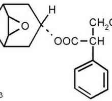 Hyoscine butyl bromide: opis, svojstva, primjena