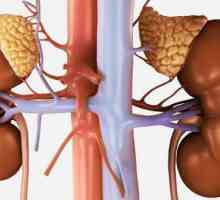 Hipofunkcija nadbubrežne žlijezde: simptomi i liječenje