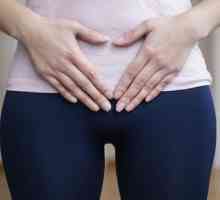 Hipoplazija endometrija maternice: uzroci, simptomi, liječenje, recenzije