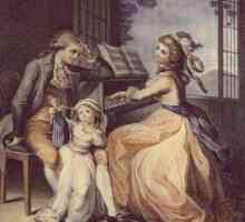 Goethe IV, "Patnja mladog Werthera": sažetak poglavlja