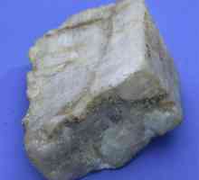Glavni minerali koji formiraju stijenu