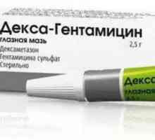 Mast za oči "Dexa-Gentamicin": upute o primjeni, odgovori, opis