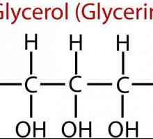 Glicerin i njegova upotreba. Hranjivi glicerin