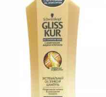 "Glis Chour" (šampon): pregled, vrste, opis i recenzije. Šampon `Glys…