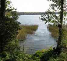 Deep jezero (Ruzsky okrug, Moskva regija): opis, ribolov i odmor