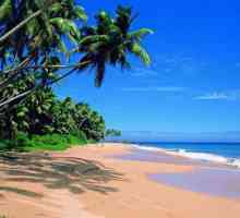 Goas Pearl 2 * (Indija, Sjeverni Goa, Candolim): pregled turista
