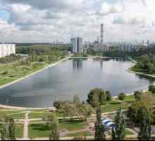 Golyanovsky jezero: ostalo u gradu