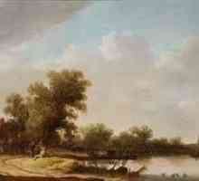 Nizozemski slikarstvo. Zlatno doba nizozemske slike. Slike nizozemskih umjetnika