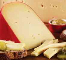 Nizozemski gouda sir je gurmanski proizvod