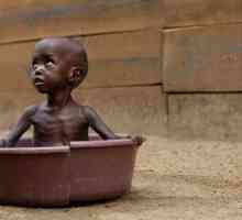 Glad u Africi