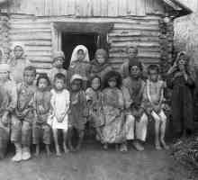 Glad u regiji Volga 1921-1922, 1932-1933: razlozi. Povijesne činjenice