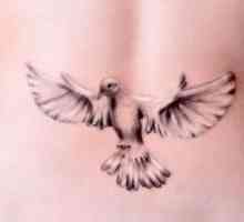 Dove - tetovaža, vrijednost vrijedi znati