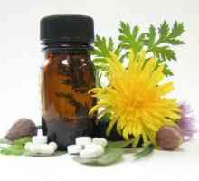Homeopatski pripravci - što je to? Kako uzeti homeopatske lijekove?