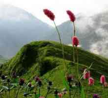 Mount Mamzishkh u Abhaziji: fotografija, visina, izleti