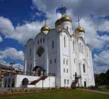 Grad Bryansk: Trinity katedrala