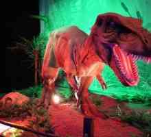"Grad dinosaura" (VDNH): recenzije, radno vrijeme, upute, foto