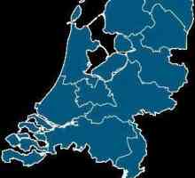 Gradovi u Nizozemskoj: opis