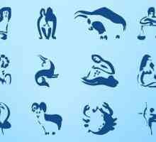 Horoskop: kako su uvredljivi znakovi zodijaka?