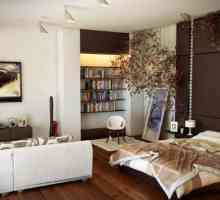 Dnevni boravak i spavaća soba u jednoj prostoriji: dizajn interijera, fotografija