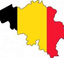 Belgija: oblik vlade, opis, opći opis